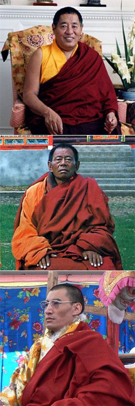 Rinpoche section image